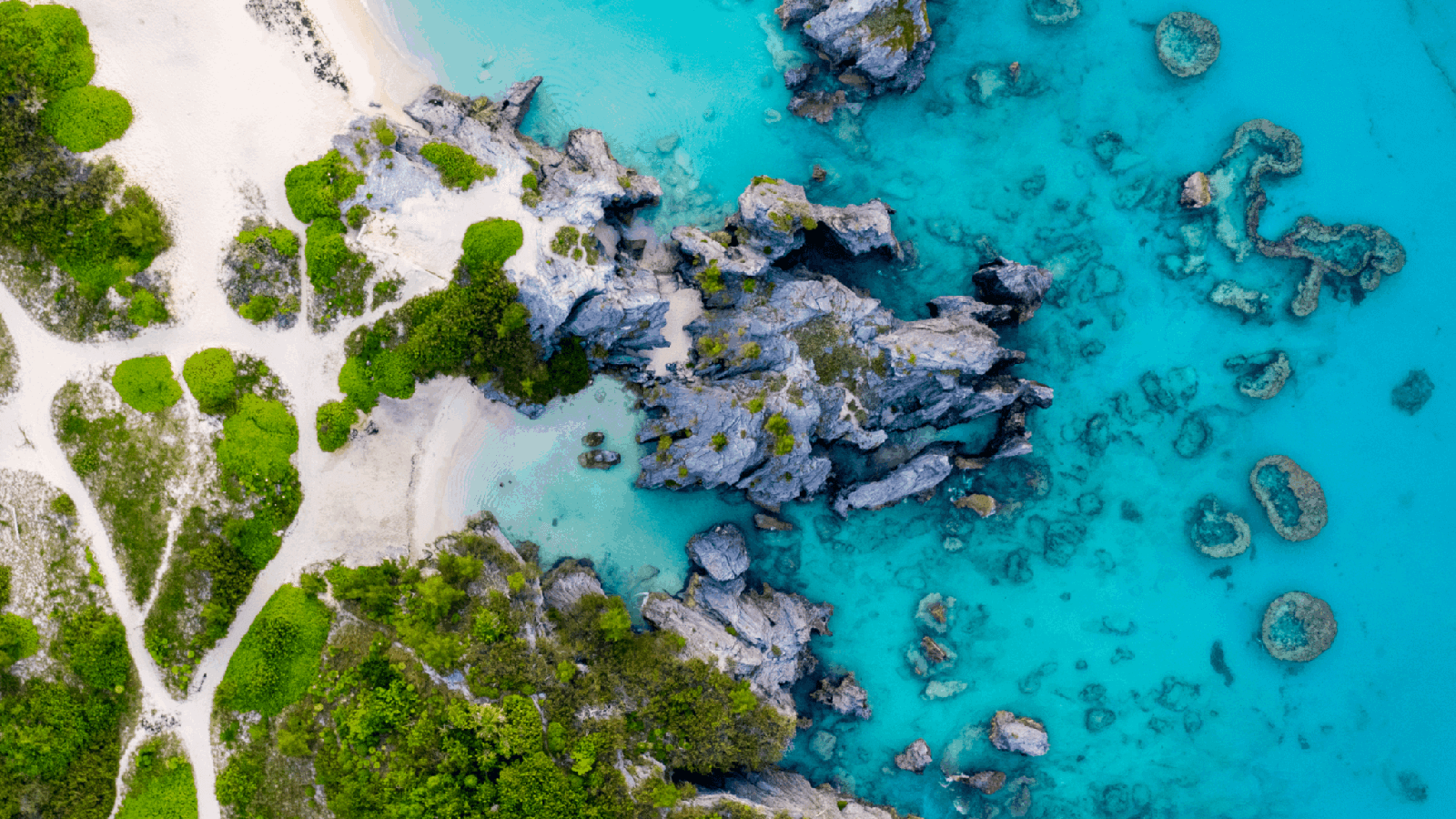 Harbottle & Lewis assists with development of new trust laws in Bermuda, paving way for global reform