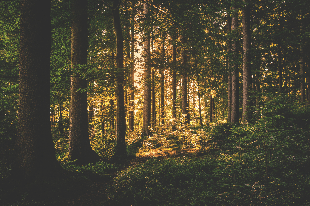 How blended families can avoid an inheritance argument